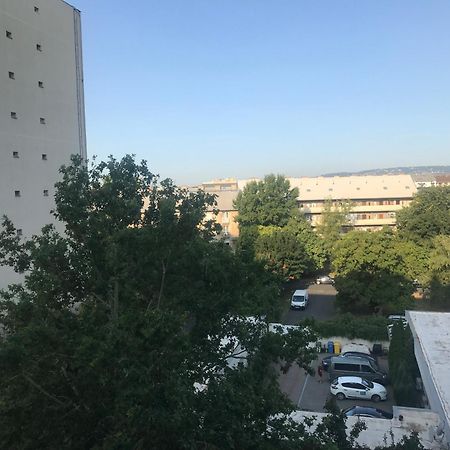 Pillango Parki Kis Lakas 15 Percre A Belvarostol Budapest Bagian luar foto