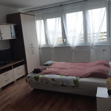 Pillango Parki Kis Lakas 15 Percre A Belvarostol Budapest Bagian luar foto